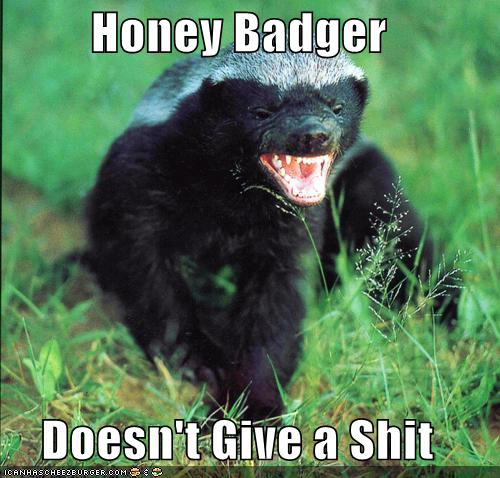 Little Reminders - honey badger doesn't give a shit